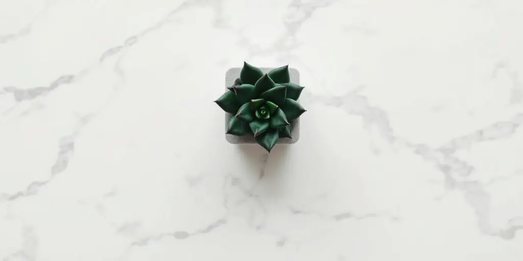 Minimalismus: Weniger ist mehr